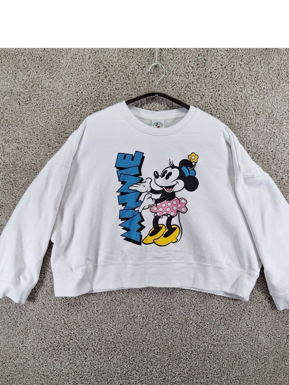 Disney White Minnie Mouse Graphic Sweatshirt with Blue Text and Pink Polka Skirt